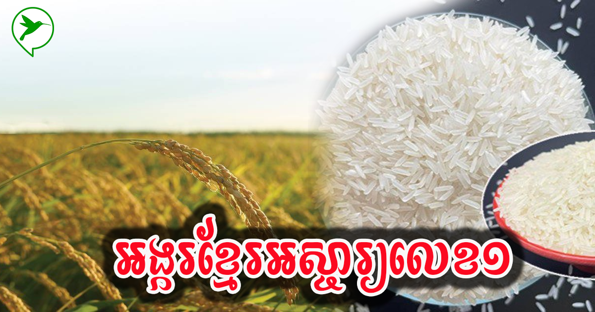 ខ្មែរអស្ចារ្យ! អង្ករខ្មែរជាប់ពានរង្វាន់ជាអង្ករល្អដាច់គេលើពិភពលោក