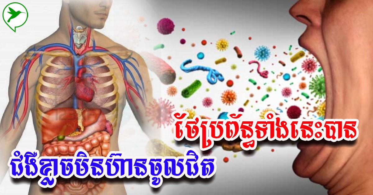 ការពារប្រព័ន្ធសំខាន់ៗក្នុងរាងកាយទាំងនេះឱ្យបាន ជំងឺកាចប៉ុនណាក៏មិនអាចច្រៀតចូលបានដែរ