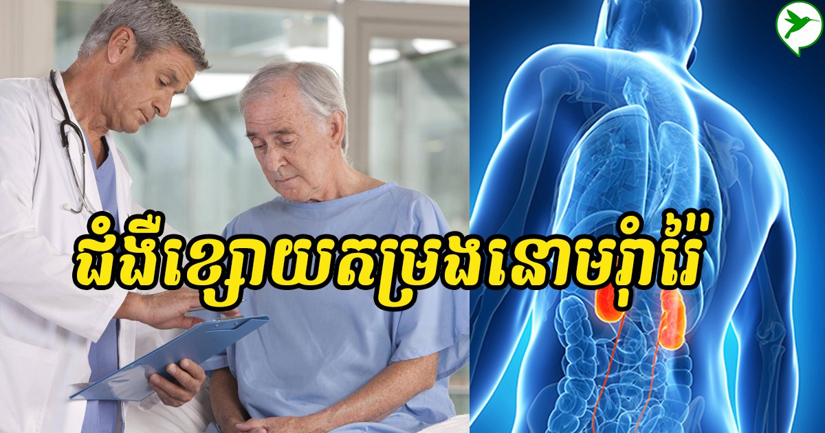 មូលហេតុពីរនេះហើយនាំឲ្យលោកអ្នកកើតជំងឺខ្សោយតម្រងនោមរ៉ាំរ៉ៃដោយមិនដឹងខ្លួន