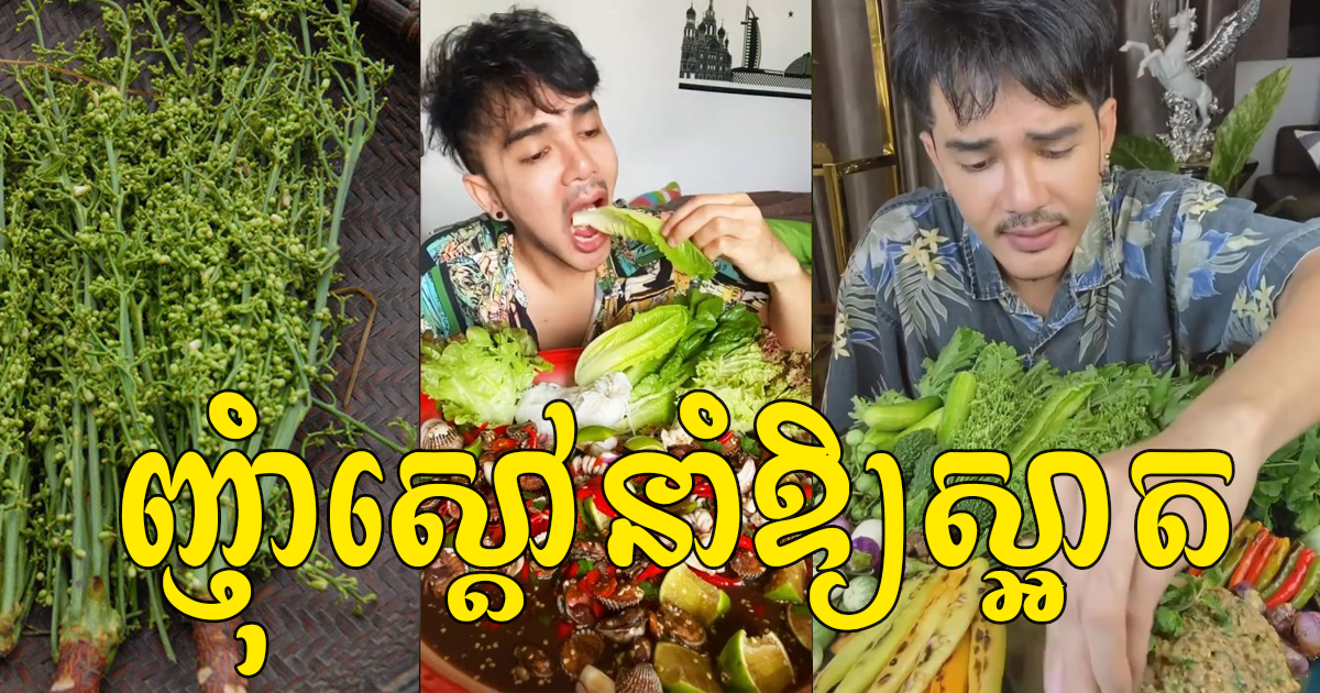 ធ្លាប់តែហូប តែមិនដែលដឹងសោះថា ស្ដៅជួយការពារសម្រស់ និងជំងឺទាំងនេះបាន