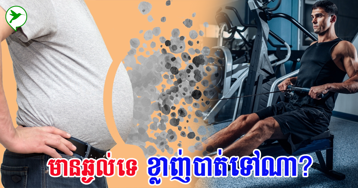 អ្នកមានឆ្ងល់ទេថា ពេលអ្នកសម្រកគីឡូ តើជាតិខ្លាញ់បាត់ទៅណា និងមានតួនាទីធ្វើអ្វី?