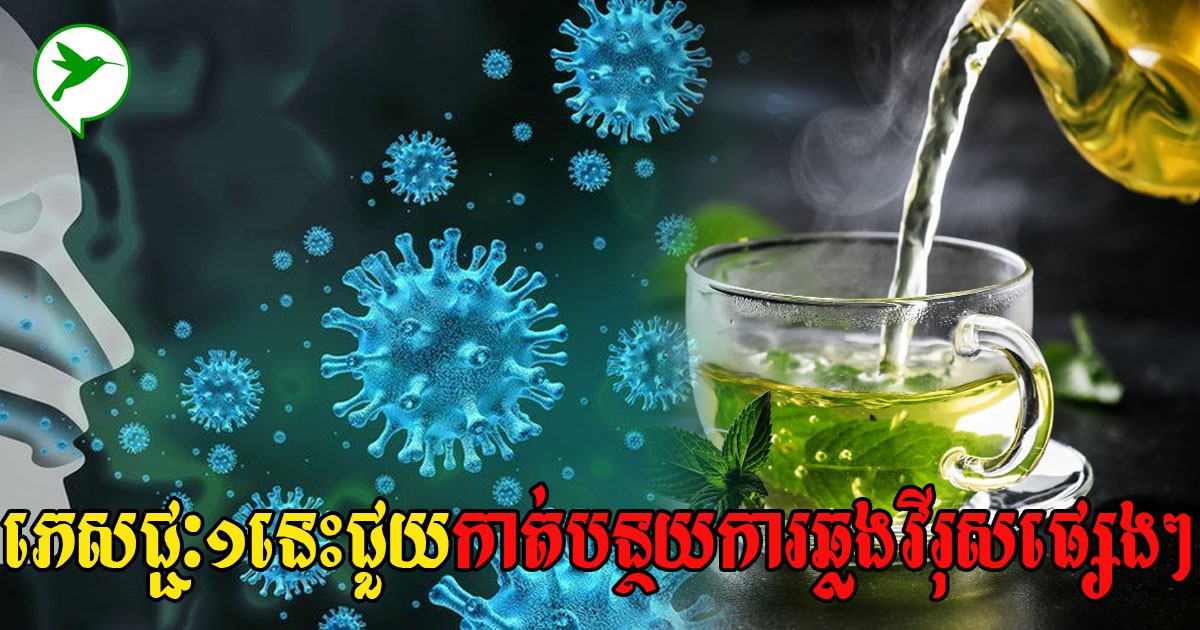 ភេសជ្ជៈសាមញ្ញងាយស្រួលធ្វើមួយនេះមានអត្ថប្រយោជន៍ជួយទប់ស្កាត់មេរោគមិនឱ្យឆ្លងដល់រាងកាយ