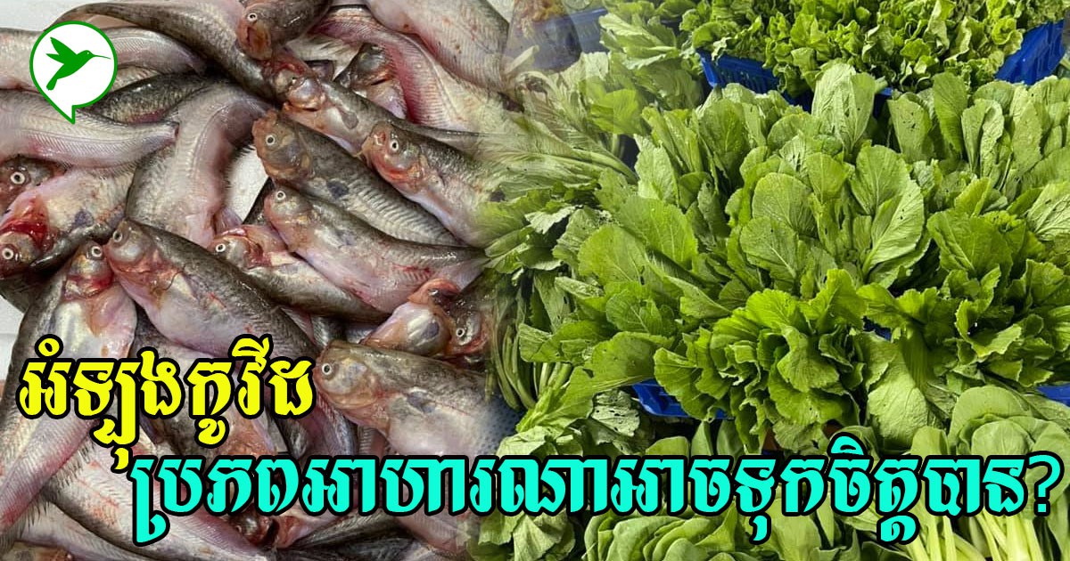 អំឡុងកូវីដ១៩រាតត្បាតខ្លាំង តើប្រភពអាហារមានសុវត្ថិភាព តម្លៃសមរម្យអាចទុកចិត្តបានអាចរកនៅទីណា?