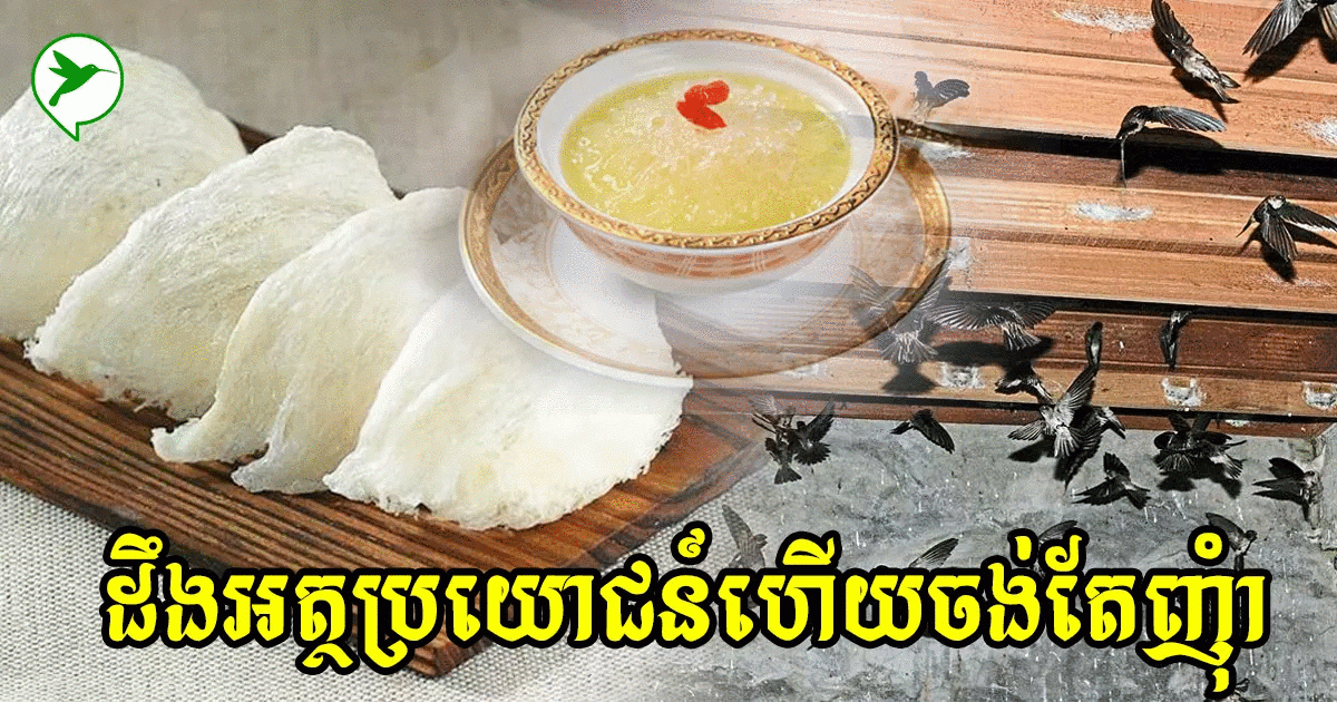 សម្បុកត្រចៀកកាំមានតម្លៃខ្ពស់បន្ដិច តែអត្ថប្រយោជន៍សឹងរៀបរាប់មិនអស់