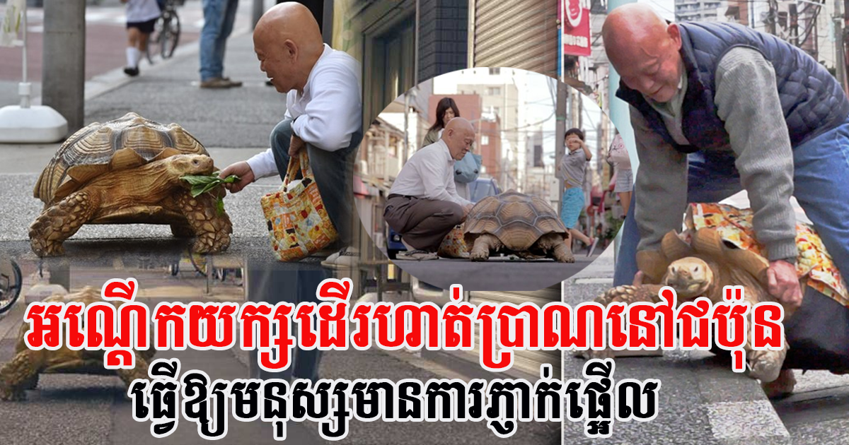សូម្បីសត្វក៏មានទម្លាប់ហាត់ប្រាណ! សត្វអណ្តើកយក្សមានទម្លាប់ល្អដើរហាត់ប្រាណរាល់ព្រឹកជាមួយម្ចាស់ខ្លួន