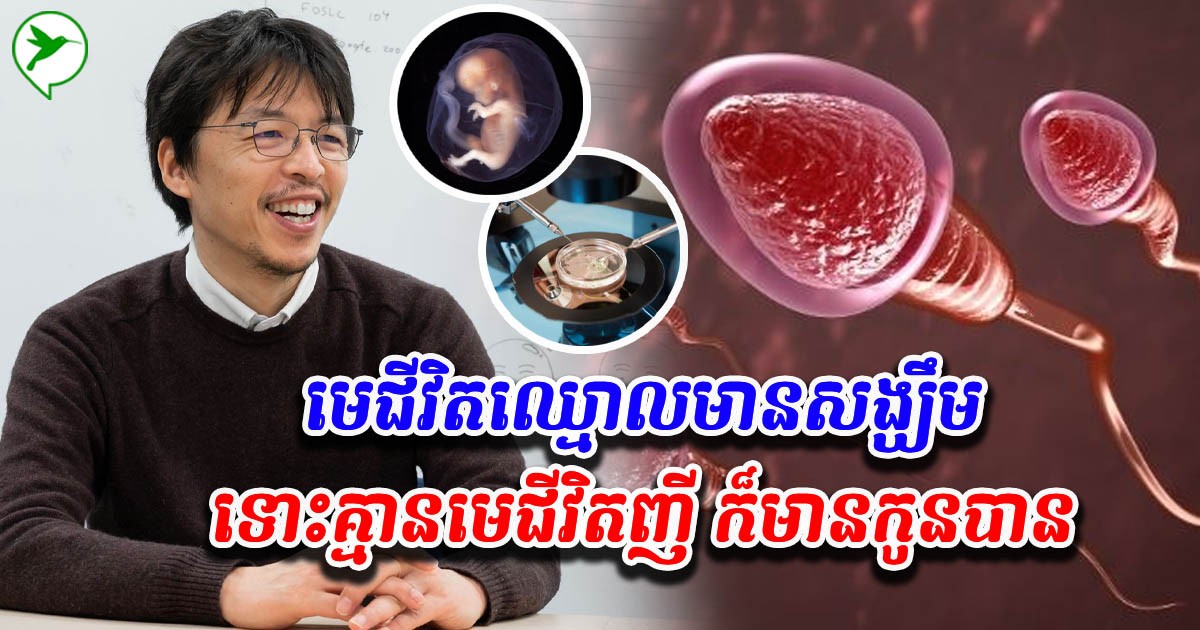 អ្នកវិទ្យាសាស្រ្តស្រាវជ្រាវបច្ចេកវិទ្យាថ្មី