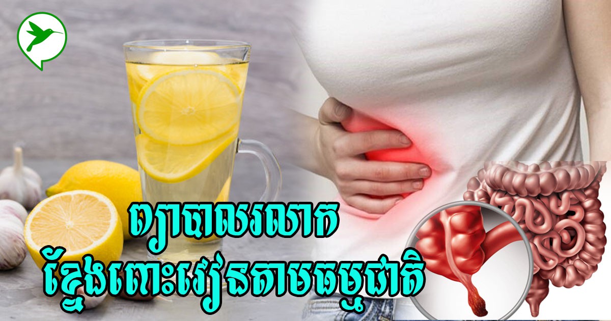 មកដឹងភេសជ្ជៈទាំង០២នេះជួយការពារនិងព្យាបាលជំងឺខ្នែងពោះវៀនតាមបែបធម្មជាតិ