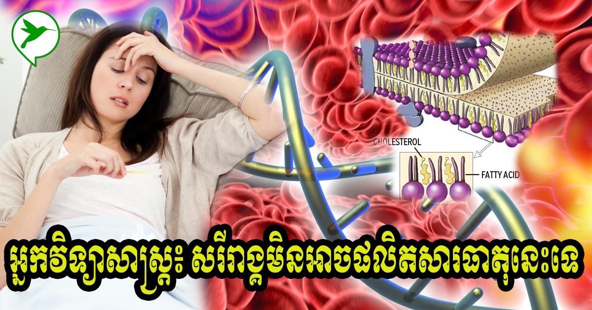 អ្នកលក់អាហារនេះនៅខ្មែរត្រូវប៉ាន់ហើយ អ្នកវិទ្យាសាស្រ្តអះអាងថាវាជួយសរីរាង្គមនុស្សឱ្យផលិតអូមេហ្គា៣ប្រឆាំងជំងឺ
