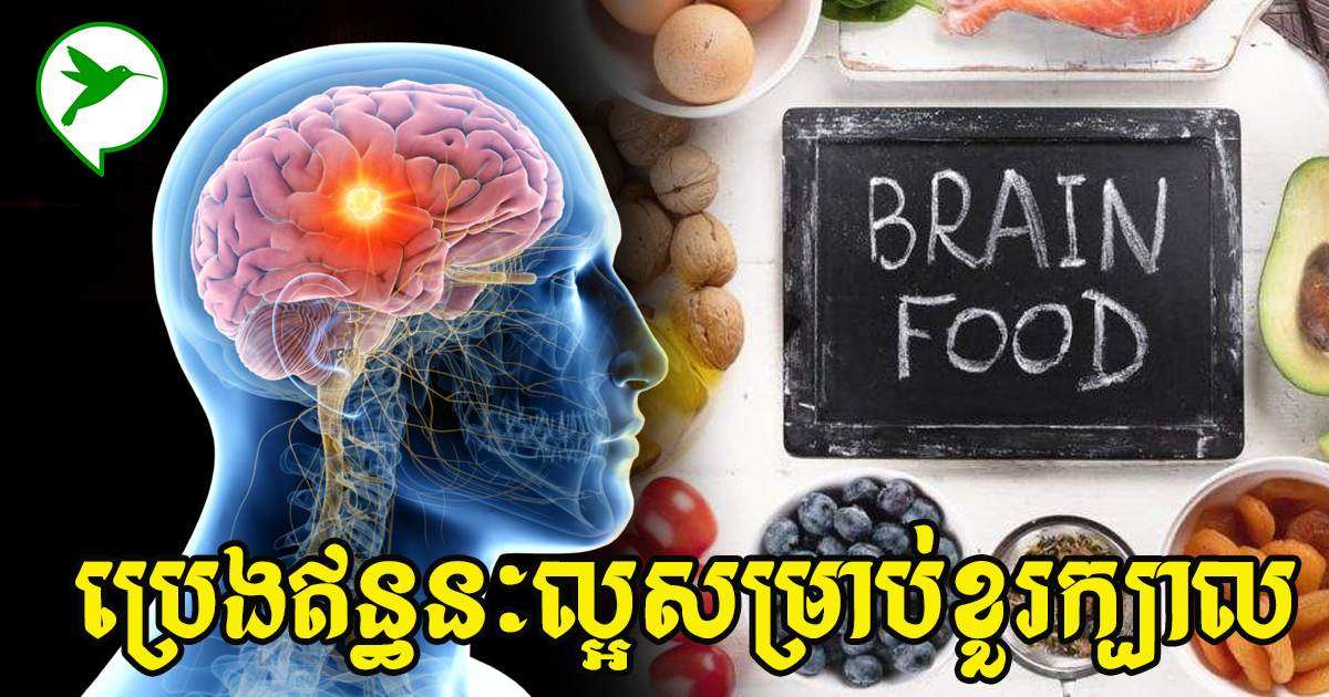 អាហារ៤នេះជាប្រេងឥទ្ធនៈល្អលេខ១សម្រាប់ខួរក្បាលអ្នក